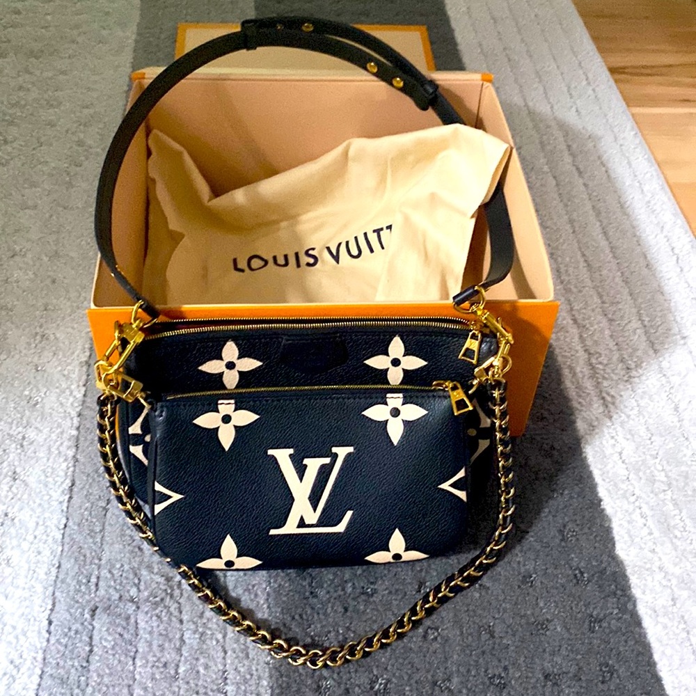 Louis Vuitton multi Pochette accessories 2 tones